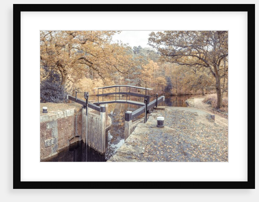 Canal lock by Assaf Frank